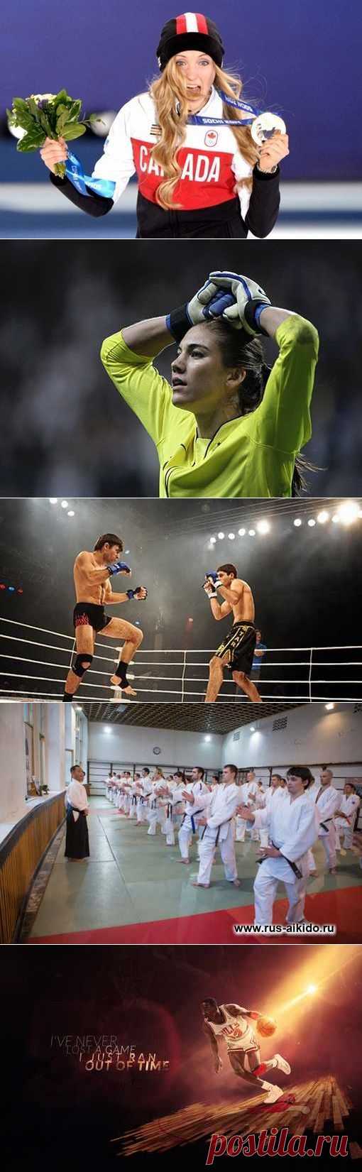 Регбилиг, Рыболовство спортивное, Микс-файт М1, Роллер-спорт. (1/1) - Спортивный форум. - Спортивный сайт