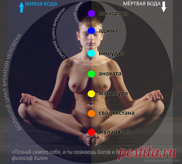 Где хранится память человека? Что такое душа? | Апокалипсис - 2012 - Новое Время. Бог - это Время