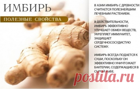 Имбирь при давлении, атеросклерозе, сердечных заболеваниях: 14 полезных свойств | ПРОДУКТЫ | Яндекс Дзен
