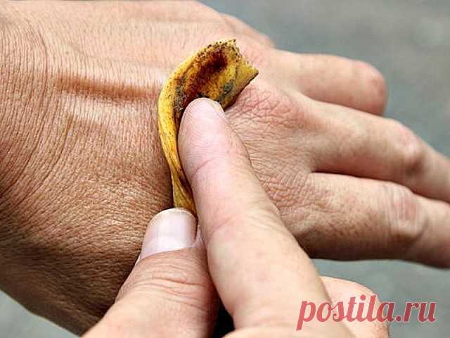 12 неожиданных способов ИСПОЛЬЗОВАНИЯ БАНАНОВОЙ КОЖУРЫ Банан — вкусный и питательный фрукт. Он идеально подходит в качестве добавки к кашам, блинам, смузи и другим блюдам. Съев или использовав банан, мы обычно