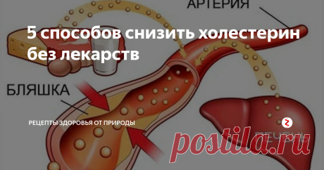 5 способов снизить холестерин без лекарств Повышенный уровень холестерина является глобальной проблемой современности. Практически каждый второй человек после 50-ти страдает этим недугом.
Я расскажу вам о пяти простых способах, с помощью которых можно просто и быстро снизить холестерин в крови, не прибегая е приему лекарственных препаратов.