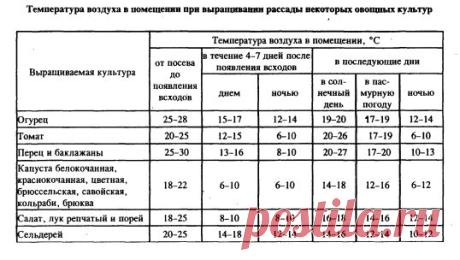 Выращивание рассады в теплице из поликарбоната, как вырастить перец и раннюю капусту своими руками: инструкция, фото и видео-уроки, цена