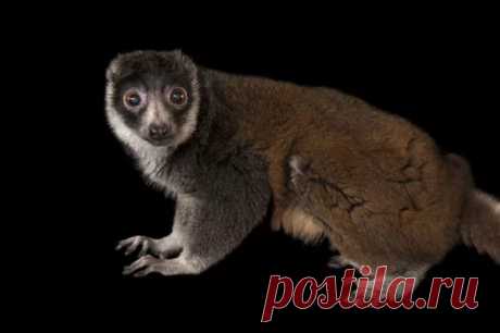 страницы которые создавались константина валерьевича сосницкого краснодар: 10 тыс изображений найдено в Яндекс.Картинках