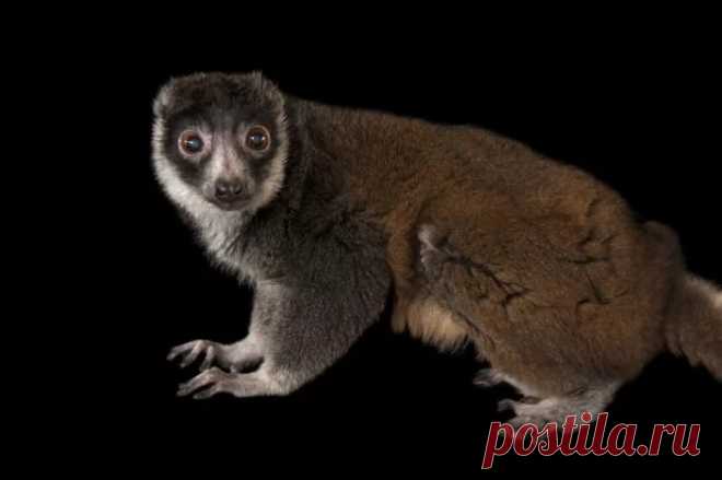 страницы которые создавались константина валерьевича сосницкого краснодар: 10 тыс изображений найдено в Яндекс.Картинках