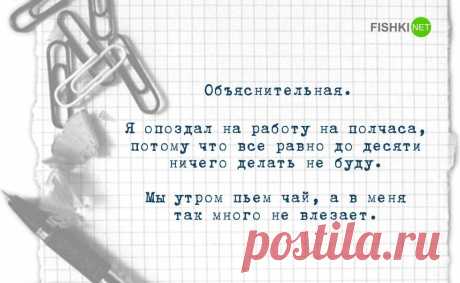 Обьяснительные записки с юмором