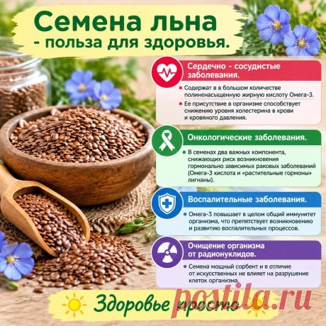 Семена льна польза