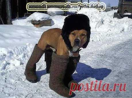 ХОЛОДНО...ПОШЕЛ НА СЛУЖБУ...