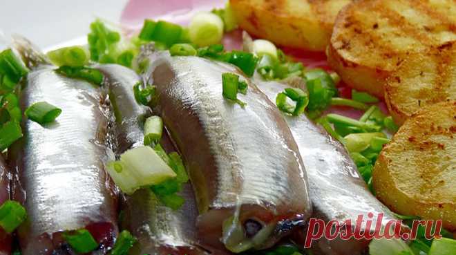 Невероятно вкусная и полезная маринованная мойва 

Такой вкуснятины вы еще не ели!



 

Ингредиенты:
600 г мойвы
Для маринада:400 мл воды;2 ч л соли;1 ч л без горки сахара;2-3 лаврового листа;3 гвоздики;10 горошин черного перца;0,5 ч л 70% уксуса.1…
