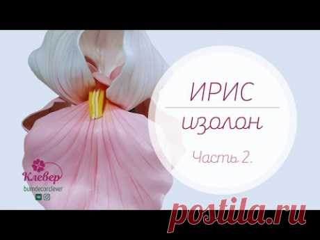 Ирис из изолона. Часть 2.