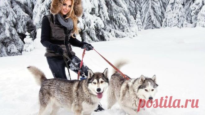 🌹 Классная музыка «А снег не знал и падал», elegants.com.ua «Элегант» Сумы