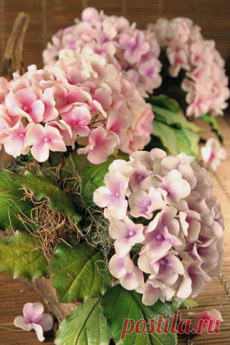 tutorial | Tutoría Flores