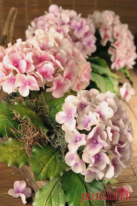 tutorial | Tutoría Flores