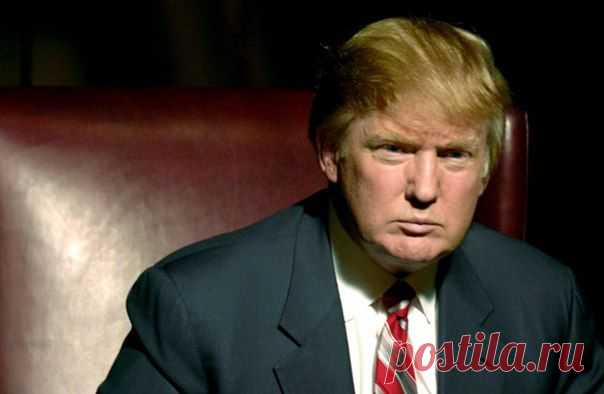 Почему разорился Дональд Трамп / Сферический бизнес