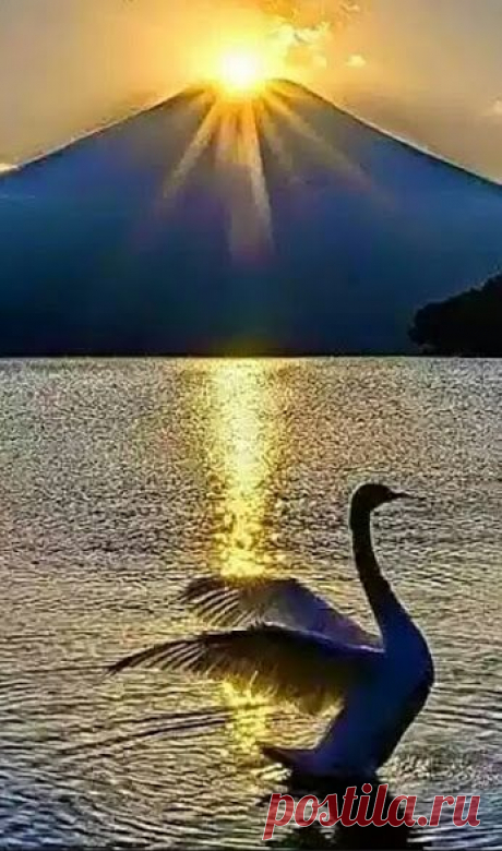 Bunga Padma – Google+