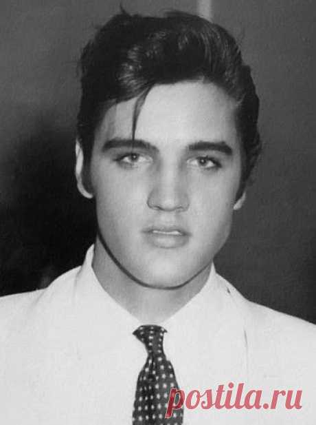 Elvis