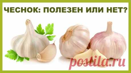 33 полезных свойства чеснока для здоровья