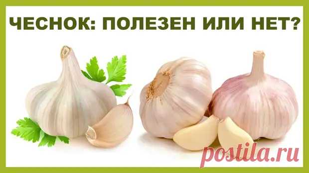 33 полезных свойства чеснока для здоровья