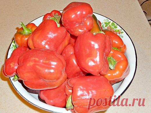 Что посадить на огороде — список - Огород, сад, балкон - медиаплатформа МирТесен Любого начинающего дачника интересует вопрос, что посадить на огороде. Ведь культур, выращиваемых в нашей стране, существует очень много. Кроме того, недостаточно просто посадить и выращивать на огороде все овощи и зелень подряд. Необходимо учитывать и некоторые нюансы, например, правильное...