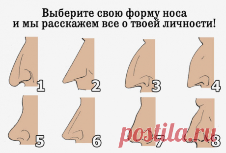 Выберите свою форму носа и мы расскажем все о твоей личности
