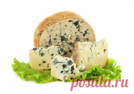 Как появился рокфор и другие увлекательные факты о сыре от неолита до наших дней