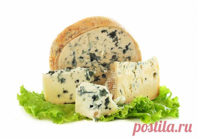 Как появился рокфор и другие увлекательные факты о сыре от неолита до наших дней