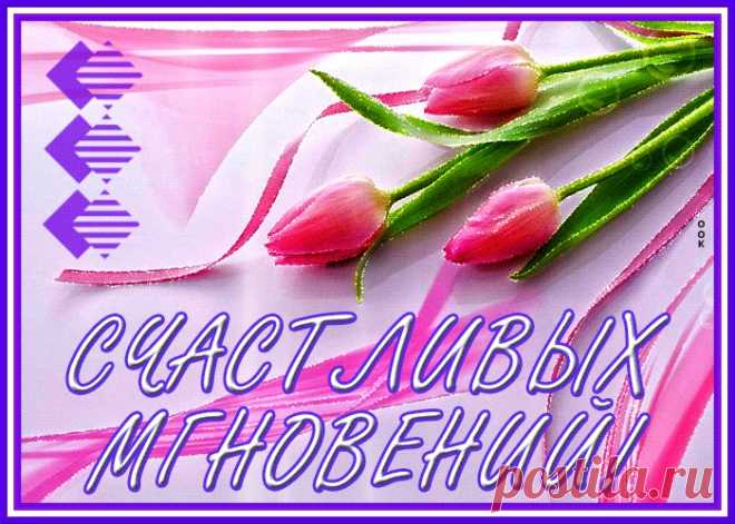Открытка красивый букет тюльпанов