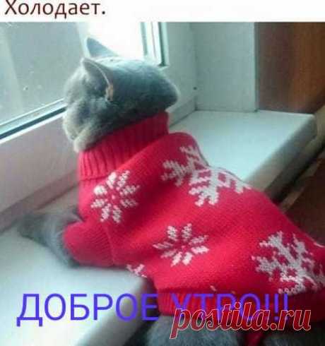 Галина Шаталова - Москва, Россия, 81 год на Мой Мир@Mail.ru
