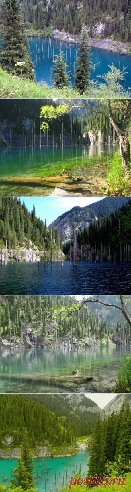 (+1) - Озеро Каинды. Казахстан | ТУРИЗМ И ОТДЫХ