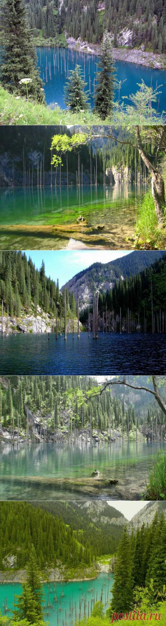 (+1) - Озеро Каинды. Казахстан | ТУРИЗМ И ОТДЫХ