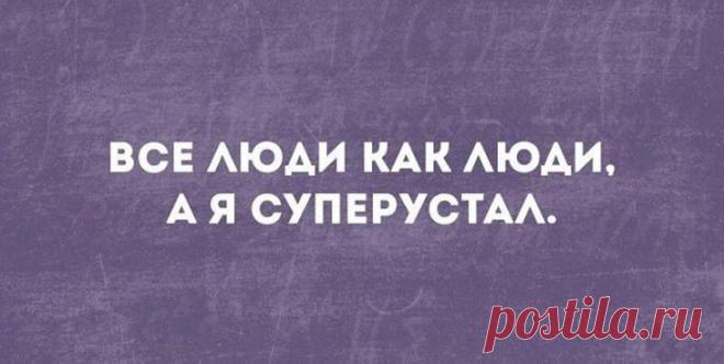 Несколько ироничных остроумных фразочек в картинках для отличного настроения