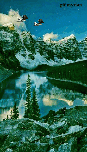 Живые фотографии – Живые картинки – Сообщество – Google+
