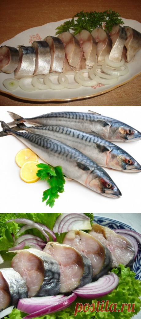 Скумбрия соленая в домашних условиях очень вкусная