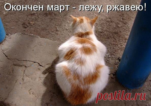 ♥♥Житейская мудрость ♥♥