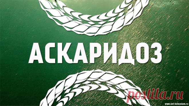 Про аскариды и аскаридоз: симптомы, лечение и профилактика
Аскаридоз - самый распространенный вид гельминтоза который вызван аскаридами, вот почему часто под названием 