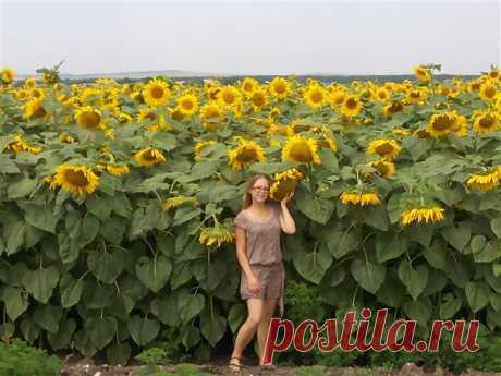 Фотографии / в Кругу Друзей - социальная сеть