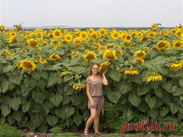 Фотографии / в Кругу Друзей - социальная сеть