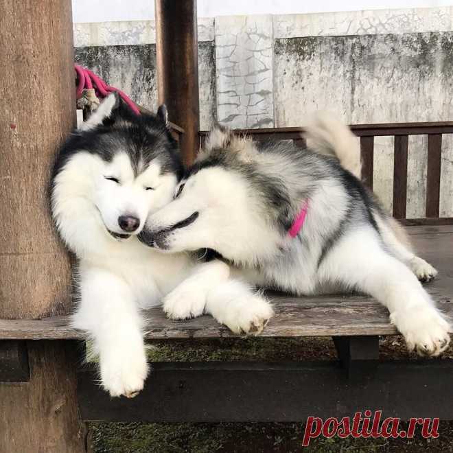 Доброго и уютного вечера, друзья!