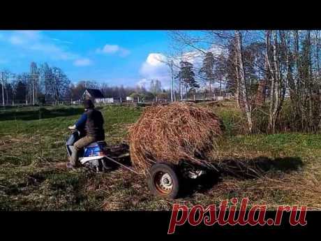 Сажаем Сад