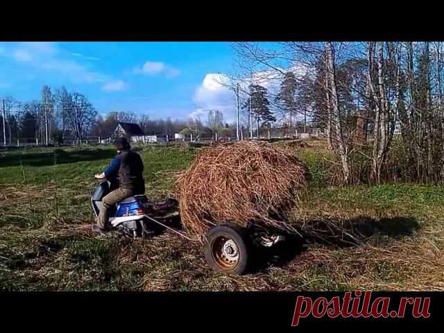 Сажаем Сад