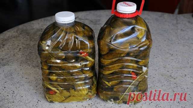 Мама закрывает огурцы сразу на даче! 

Спасибо ей, теперь зимой под рукой будет чудесная, чуть острая закусочка