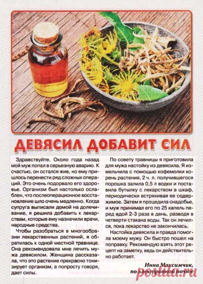 Девясил добавит сил