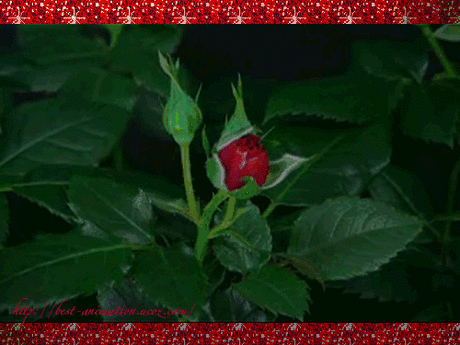 хх