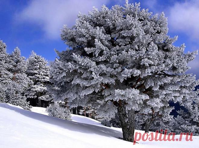 Фотографии В МИРЕ КРАСИВЫХ КАРТИНОК - 12817 фото в Моем Мире.