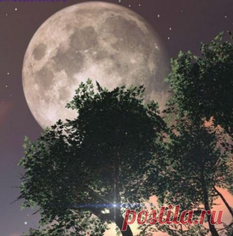 Лунный посевной календарь садоводов огородников на 2017 год | Дачный участок