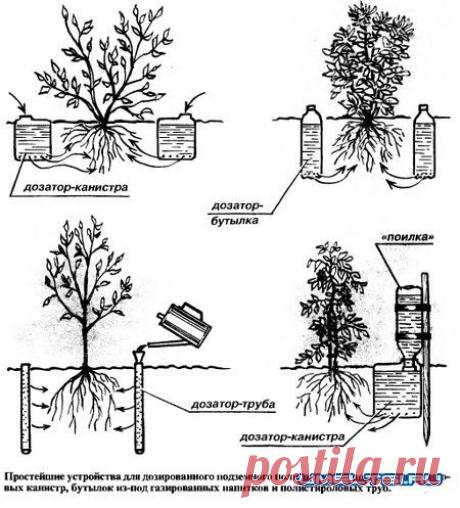 88192681_large_1298630458_poliv.jpg (450×497)