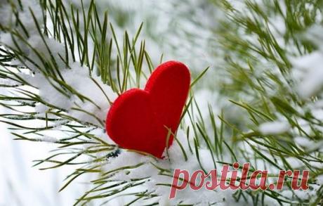 (37) Pinterest