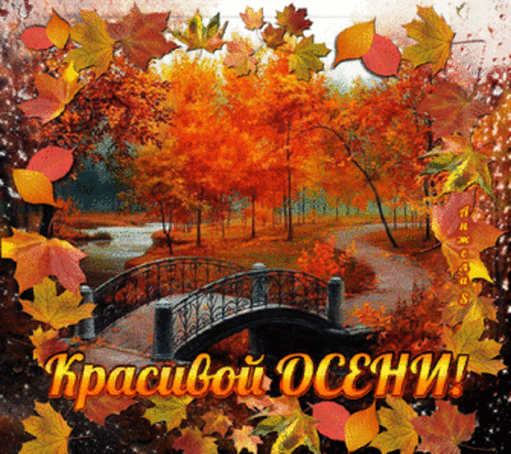 Открытка (плейкаст) «Красивой осени!» Автор плейкаста: elenamusatova. Когда: 09.10.2015.