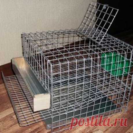 Клетки для уток своими руками: инструкция
