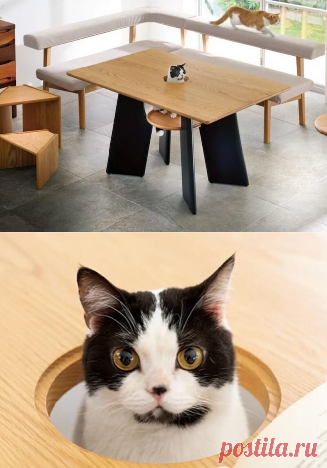 Home / Twitter  Японская компания начала выпуск специального стола для любителей кошек. Его особенность: специальная подставочка в в центре и лаз.