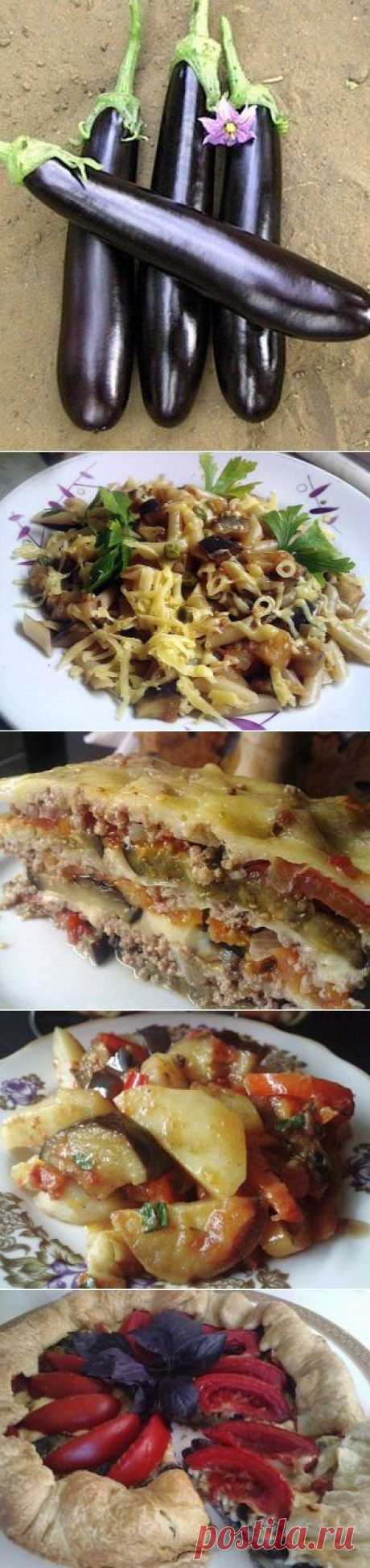 15 рецептов с баклажанами!!!
